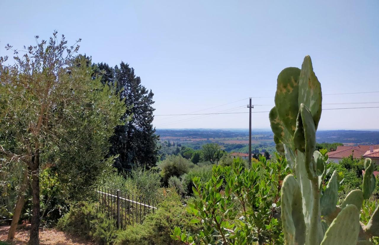 L'OLIVO appartamento vacanze Lucignano Esterno foto